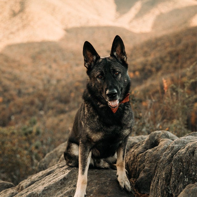 Maple Burnt Orange Wool Tie & Pocket Square Set – Classic, Skinny & Wide Styles for Weddings, Groomsmen, and Formal Wear