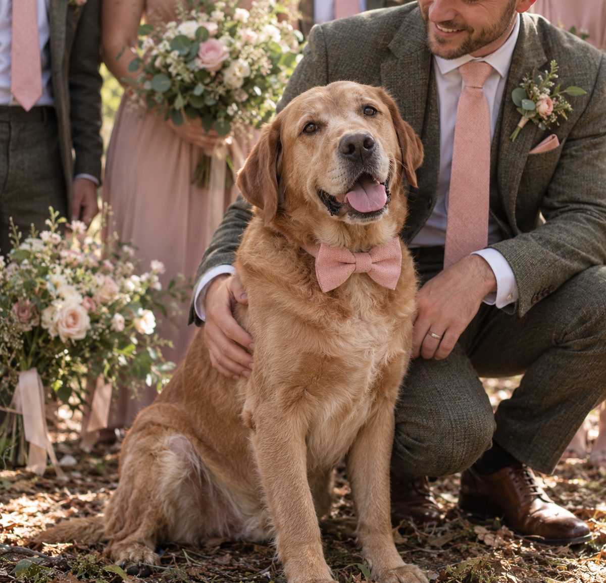 The Carnation: Blush Pink Wool Necktie and Pocket Square Set