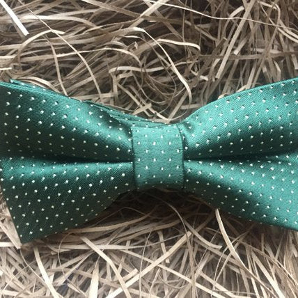 Eucalyptus: Men's Bow Tie, Polka Dot, Green , Men's Gift, Gift Wrapped